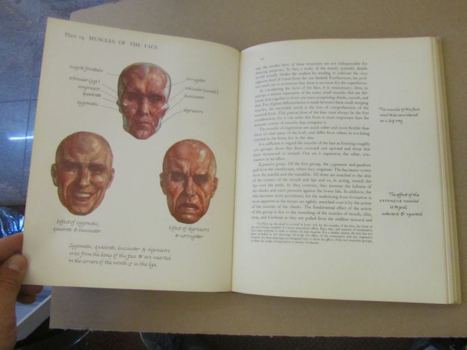 Charles Earl Bradbury Anatomy And Construction Of The Human FIgure