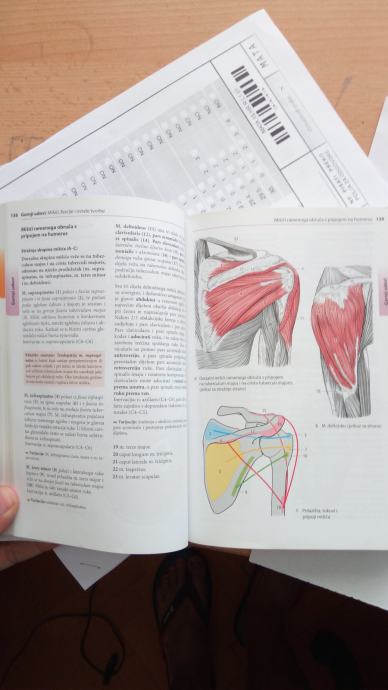 Priru Ni Anatomski Atlas Platzer Dio Sustav Organa Za Pokretanje