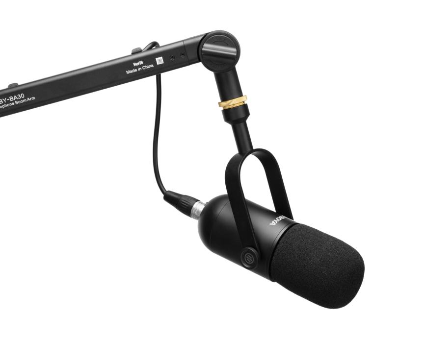 Boya DM500 Cardioid Dynamic Broadcasting Microphone