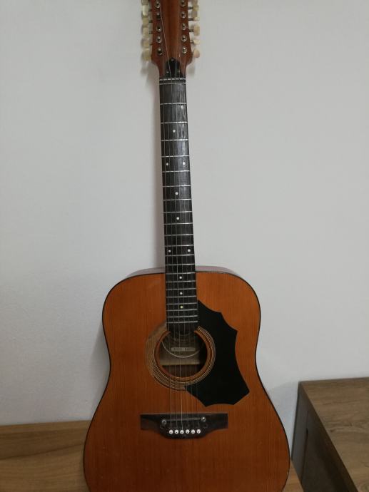 Melody Guitars S R L ITALY MOD 1200