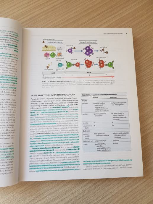 Stani Na I Molekularna Imunologija Abbas Izdanje
