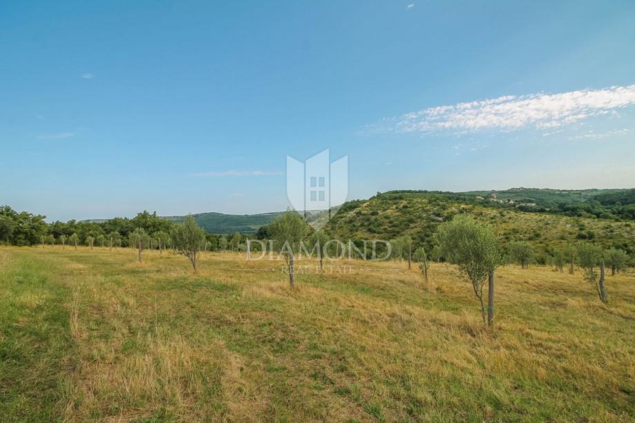 Buje Okolica Gra Evinska Parcela Sa Otvorenim Panoramskim Pogledom