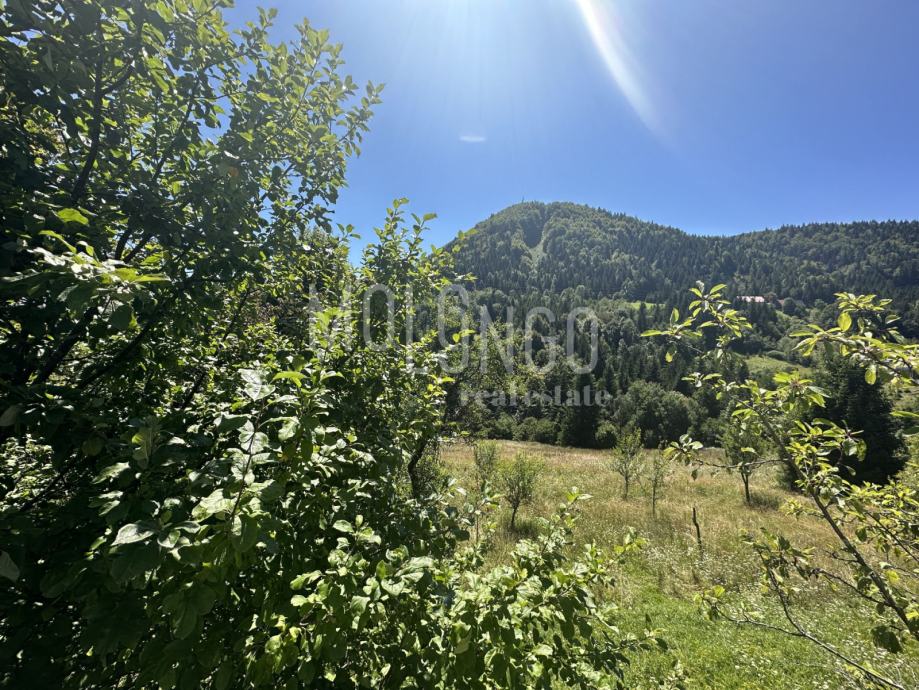 GORSKI KOTAR RAVNA GORA samostojeća kuća na 4000m2 prodaja