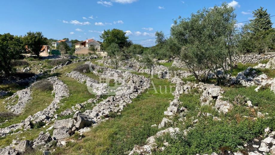 Gra Evinsko Zemlji Te U Okolici Ila Otok Krk