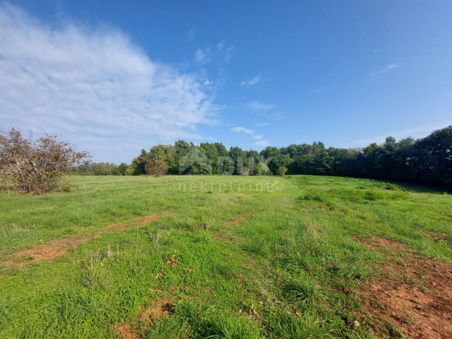 ISTRA BARBAN Građevinsko zemljište površine 634 m2