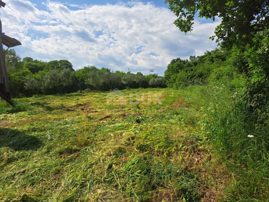 ISTRA BARBAN Građevinsko zemljište