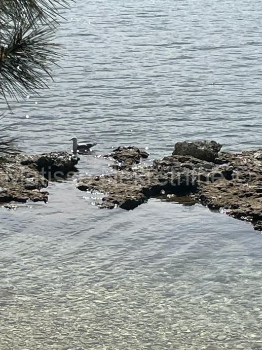 ISTRA PULA OKOLICA Stan U Novogradnji S Terasom Prodaja