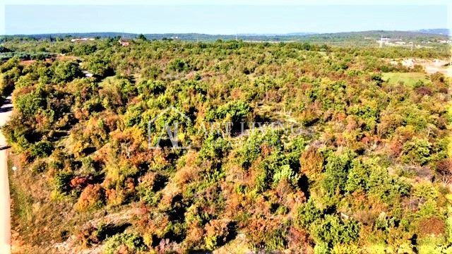 Umag Okolica Atraktivno Poljoprivredno Zemlji Te M