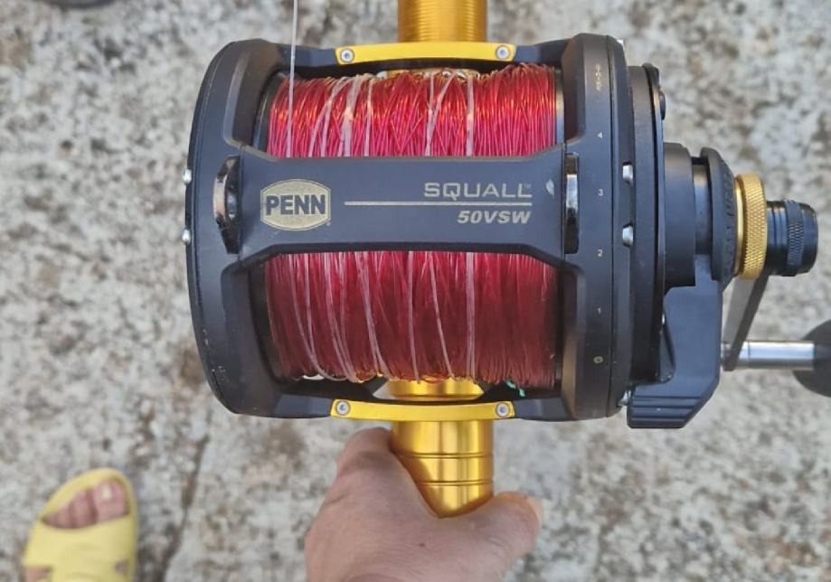 Penn Squall 50vsw