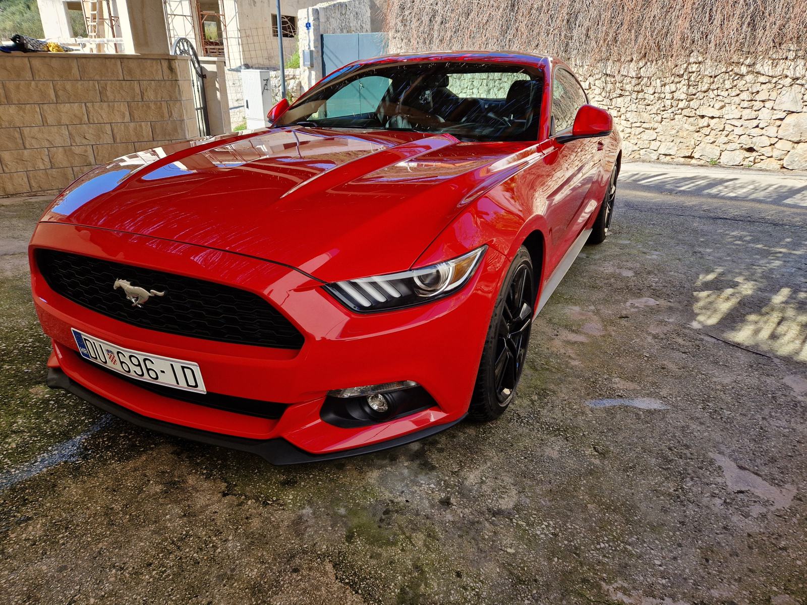 Ford Mustang God