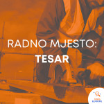 Tesar (m/ž)