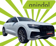 AUDI Q8 55 TFSI /TOP OPREMA /Anindol/ najam/kupnja