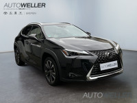 Lexus UX UX 250h *RJEŠAVAMO LEASING*