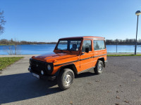 Mercedes-Benz G 290 GD PUCH Kratki