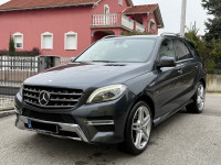 Mercedes-Benz ML 350 CDI 4matic AMG ! ALU 21 ! KAMERA ! AMBIENT !