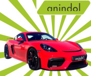 PORSCHE GT4 /Anindol Green Motion /PDV /HR auto