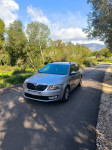 Škoda Octavia Combi 1,6 TDI