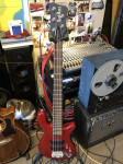 Warwick  Rock Bass