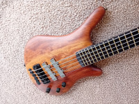 Warwick Thumb NT5 89l