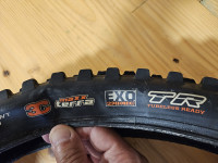 Maxxis Shorty 29x2,5 3C Maxx Terra EXO