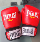 everlast rukavice za boks (12)