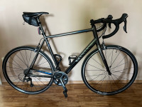 Canyon Endurace AL 7.0