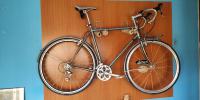 Salsa Casseroll - light touring endurance bicikl - rama 58