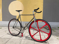 Single speed, fixie specijalka