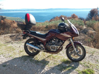 Yamaha Diversion