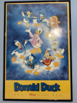 Donald Duck zidna slika 90x60cm Disney classic