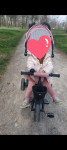 Kinderkraft Aveo tricikl
