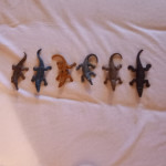 figurice krokodila
