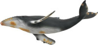 Grbavi kit (humpback whale) Collecta