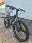 ORBEA MX20 Dirt