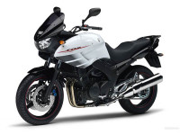 Zamjenske NALJEPNICE ZA  MOTOR YAMAHA TDM TWIN 850 , 900