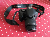 Canon EOS 600D, objektiv 18-55 mm, punjac i torbica