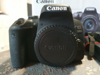 Canon EOS 800D body