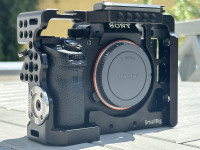 Sony a7S II + SmallRig cage