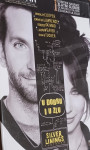 U Dobru I U Zlu / Silver Linings Playbook