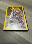 NG KIDS DVD