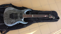 Cort X-Custom Seymour Duncan magneti