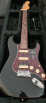 Fender American Profesional II Custom