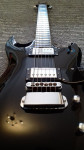 Hagstrom Pat Smear Signature