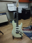 Stratocaster Nemec