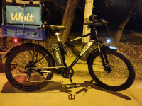 E bike 48v 15Ah