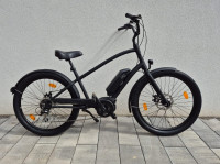 Electra Townie Go! 8D EQ Step-Over