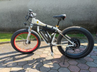 Električni fat bike