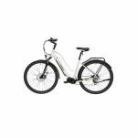 MS ENERGY E BIKE C100