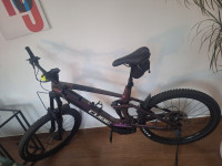 E bike Cube stereo hybrid 160 hpc slx