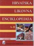 HRVATSKA LIKOVNA ENCIKLOPEDIJA 1-8 , ur. žarko domljan et al...